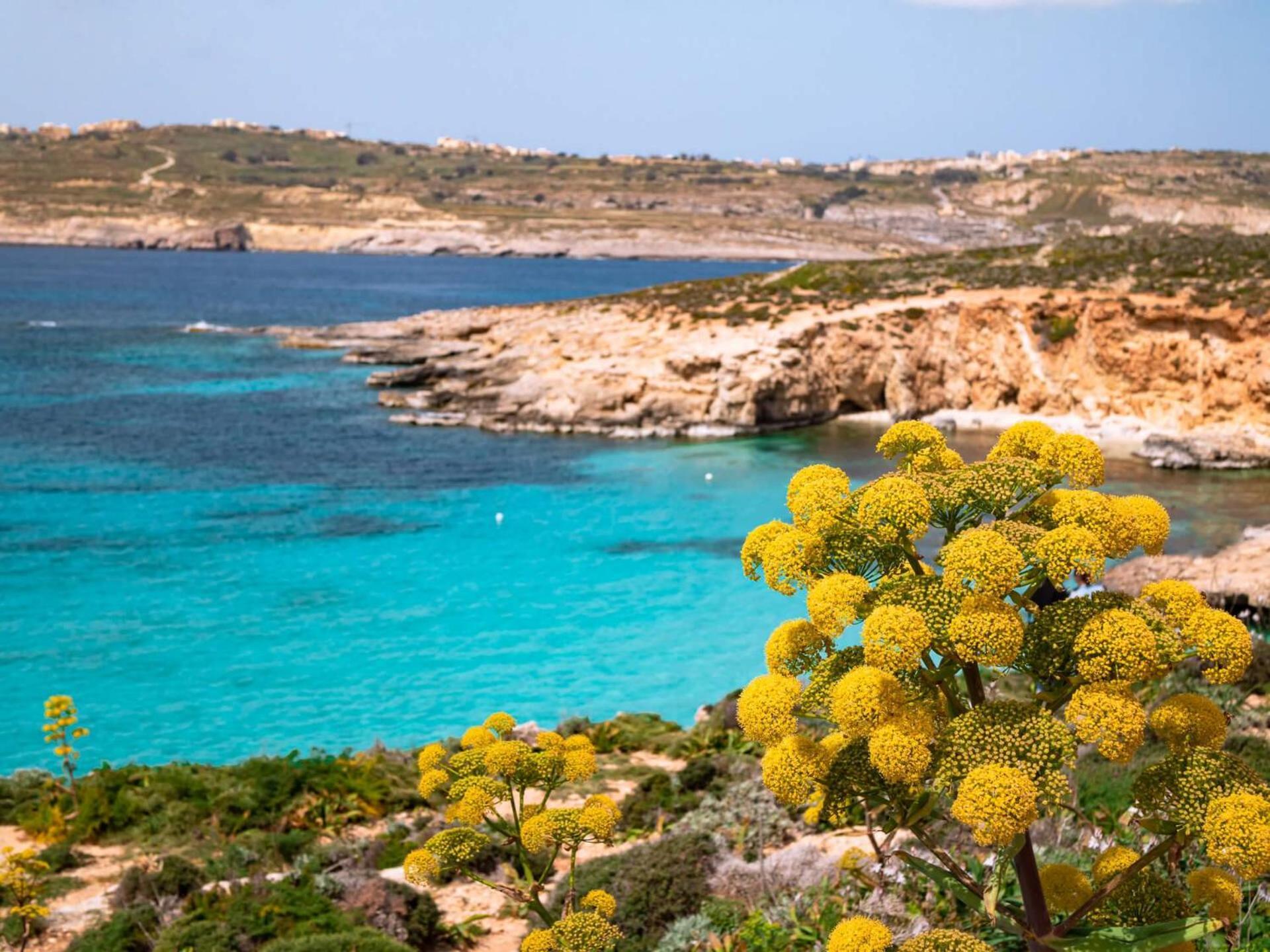 Cara Flats By Homely Mellieħa Exteriör bild